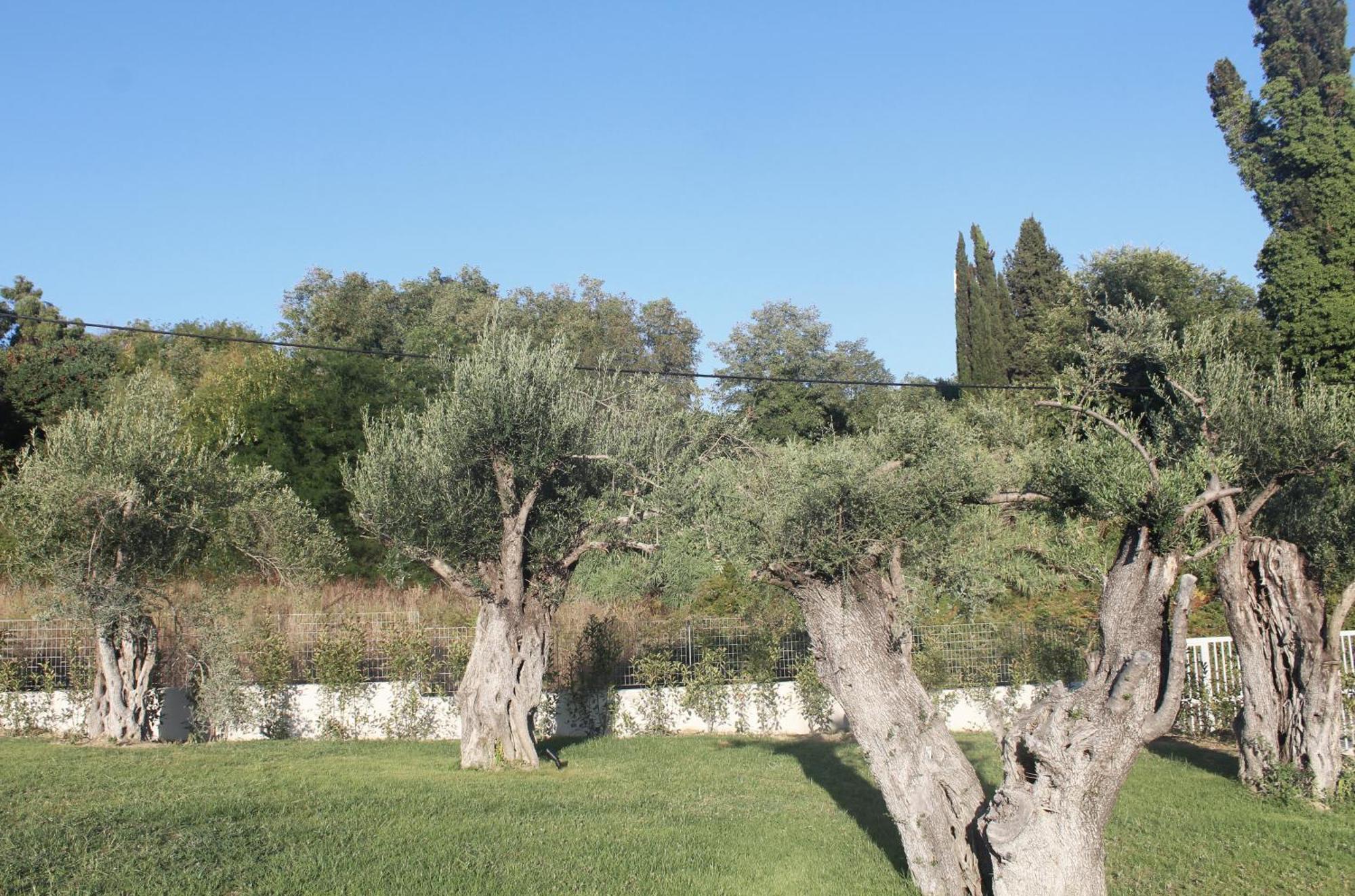 Stablo Kanali (Corfu)